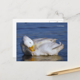 Peking Duck glimlacht een Mona Lisa-glimlach in de Briefkaart