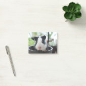 Peking Guinea Pig Post-it® Notes (Kantoor)