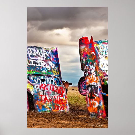 Peking-Koeien Poster (Voorkant)