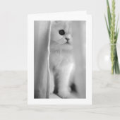 PEKING OUT OM TE ZEGGEN "IK HOU VAN JE" ALLE GELEG KAART (Voorkant)