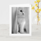 PEKING OUT OM TE ZEGGEN "IK HOU VAN JE" ALLE GELEG KAART (Gele Bloem)