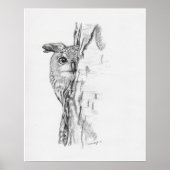 Peking Owl" Poster (Voorkant)