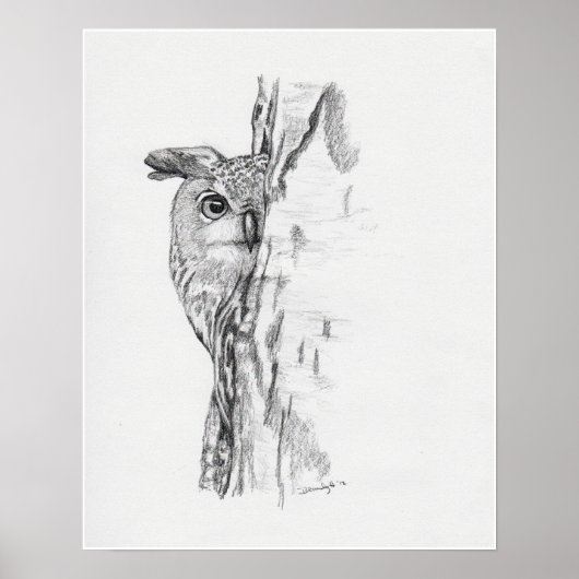 Peking Owl" Poster (Voorkant)