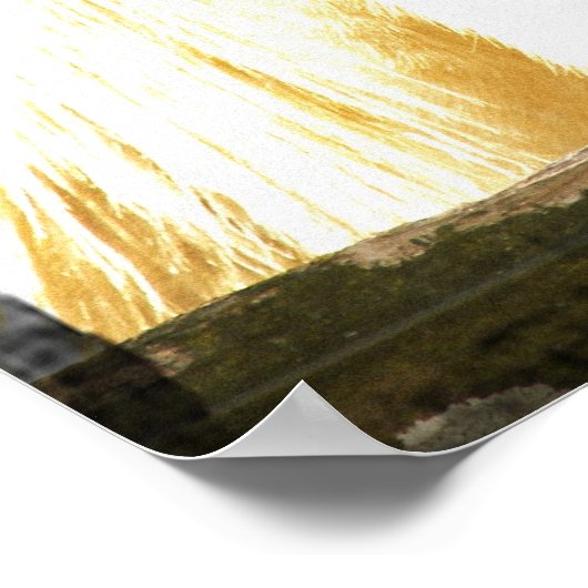 Peking Palomino Poster (Hoek)