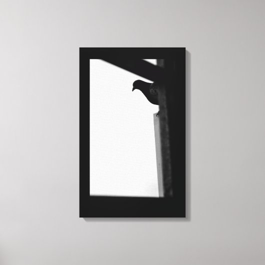 Peking Pigeon Canvas Afdruk (Voorkant)