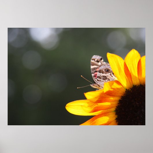 Peking Poster (Voorkant)