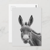 Peking Sneaky Donkey Cute Briefkaart (Voorkant / Achterkant)