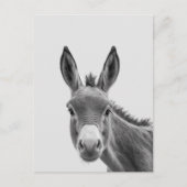 Peking Sneaky Donkey Cute Briefkaart (Voorkant)