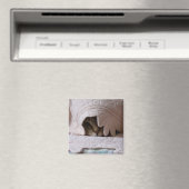 Peking Tom magneet (Insitu (Vaatwasser))