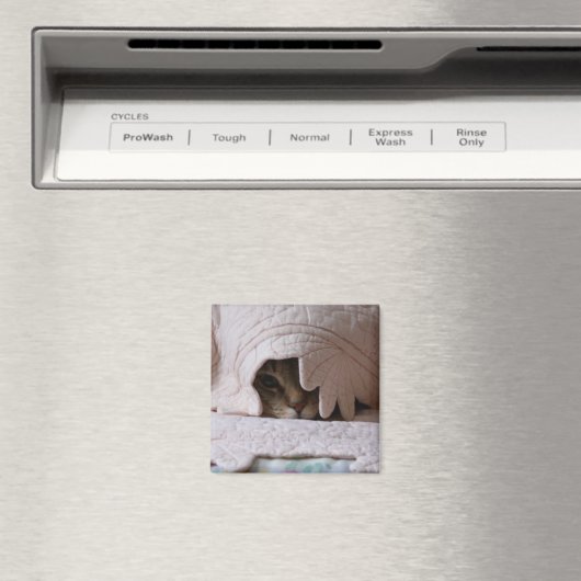 Peking Tom magneet (Insitu (Vaatwasser))