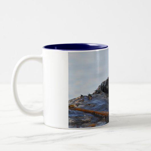 Peking Zee Otter Mok (Links)