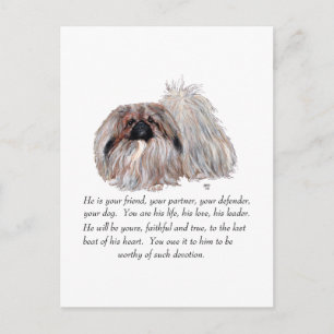 Pekingees Aandenken - MANNELIJK Briefkaart
