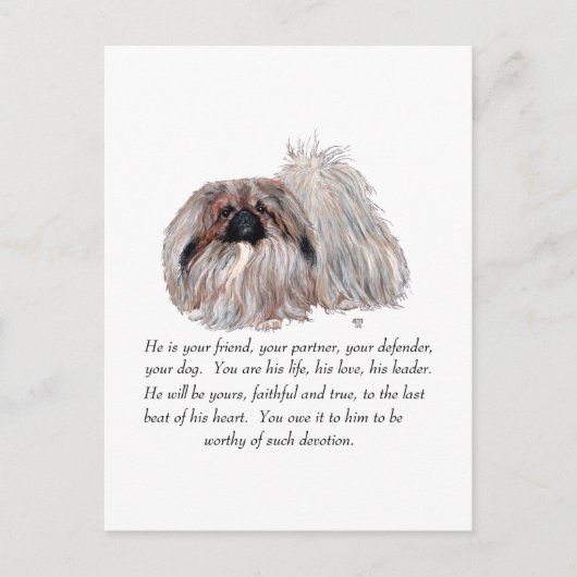 Pekingees Aandenken - MANNELIJK Briefkaart (Voorkant)