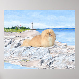 Pekingees bij de vuurtoren poster