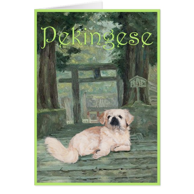 Pekingees bij Oosterse Poort (Voorkant)