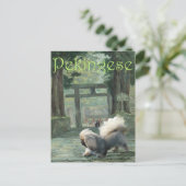 Pekingees bij Oosterse Poort Briefkaart (Staand voorkant)