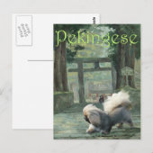 Pekingees bij Oosterse Poort Briefkaart (Voorkant / Achterkant)