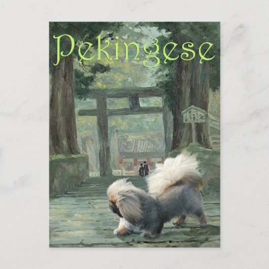 Pekingees bij Oosterse Poort Briefkaart (Voorkant)