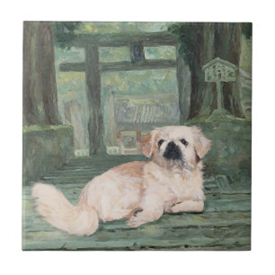 Pekingees bij Oosterse Poort Tegeltje