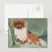 Pekingees briefkaart (Voorkant / Achterkant)