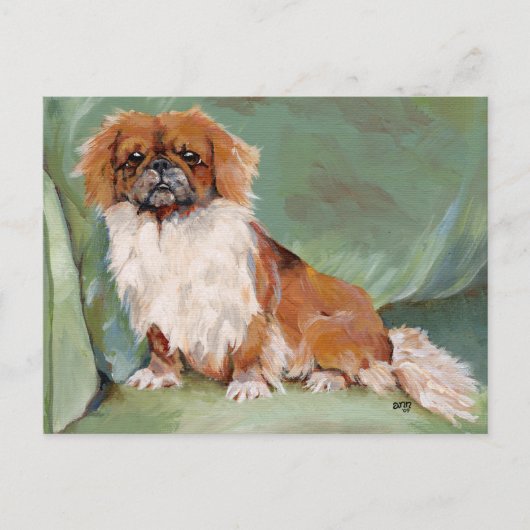 Pekingees briefkaart (Voorkant)