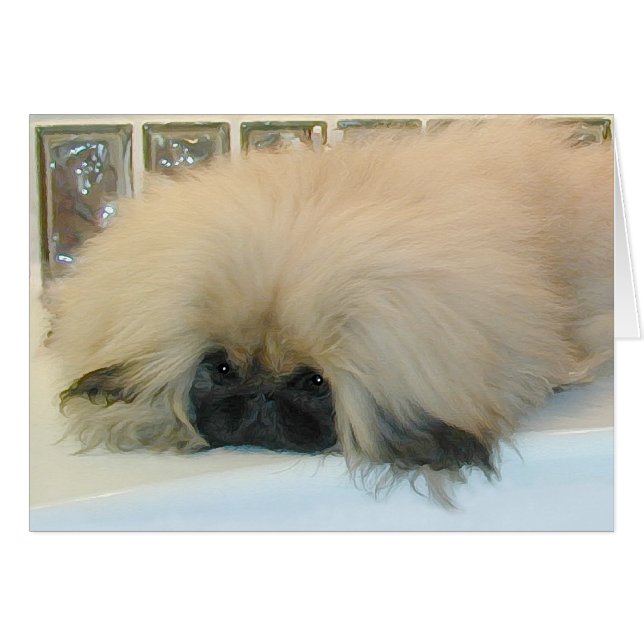 Pekingees Denkt Groot (Voorkant Horizontaal)