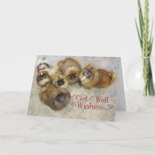 Pekingees Gezondheidskaart Kaart