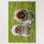 Pekingees hond. legpuzzel (Verticaal)