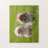 Pekingees hond. legpuzzel (Verticaal)