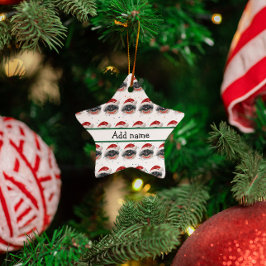 Pekingees Hond Ras Kerst Sterren Keramisch Ornament