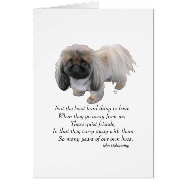 Pekingees Hond Regenboogbrug (Voorkant)