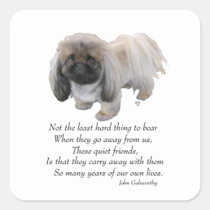Pekingees Hond Regenboogbrug Vierkante Sticker