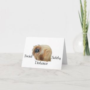 Pekingees Honden Opmerkingen Feestdagen Kaart