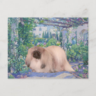 Pekingees in Bloementuin Briefkaart