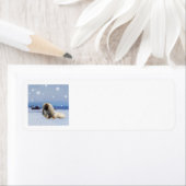 Pekingees in de Winter Etiket (Insitu)