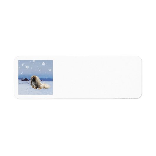 Pekingees in de Winter Etiket (Voorkant)