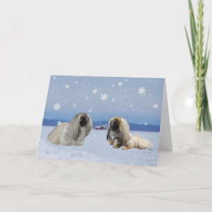 Pekingees in de Winter Feestdagen Kaart