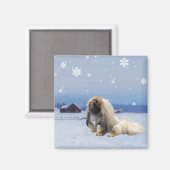 Pekingees in de Winter Magneet (Voorkant / Achterkant)