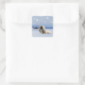 Pekingees in de Winter Vierkante Sticker (Tas)