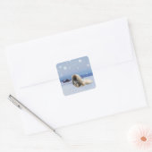 Pekingees in de Winter Vierkante Sticker (Envelop)