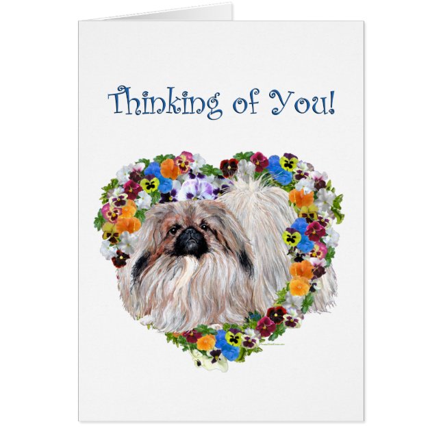 Pekingees in driekleurige viooltjes (Voorkant)