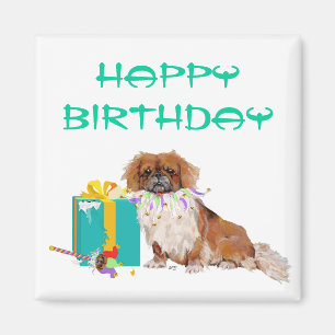 Pekingees in een feeststemming magneet