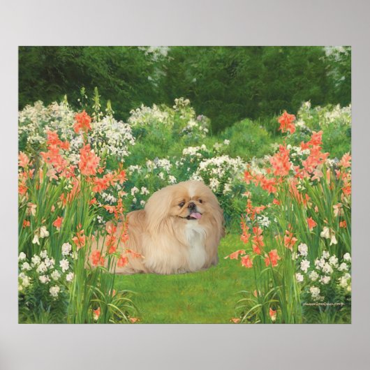 Pekingees in een tuin poster (Voorkant)