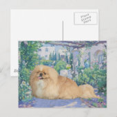 Pekingees in lavendel briefkaart (Voorkant / Achterkant)