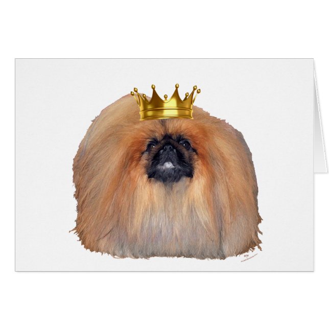 Pekingees Koning (Aanpassen indien Gewenst!) (Voorkant Horizontaal)