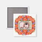 Pekingees Magneet (Voorkant / Achterkant)