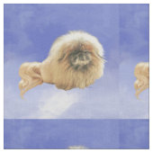 Pekingees op Blauwe Stof (Close Up)