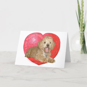 Pekingees / Poodle Mix Valentijnsdag Feestdagen Kaart