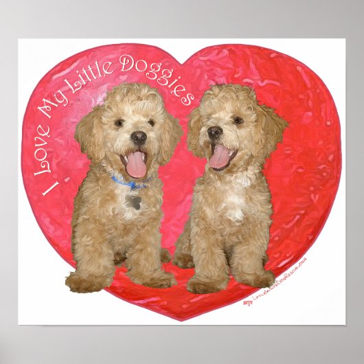 Pekingees / Poodle Mix Valentijnsdag Poster (Voorkant)