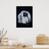 Pekingees Portret in Zwart & Wit Poster (Keuken)